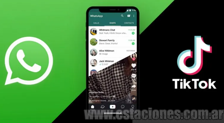 Nuevas estafas por WhatsApp y TikTok: de qué se tratan y cómo evitarlas ...